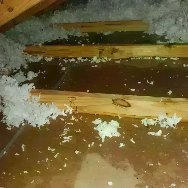 Attic Water Damage in Harlowton, MT